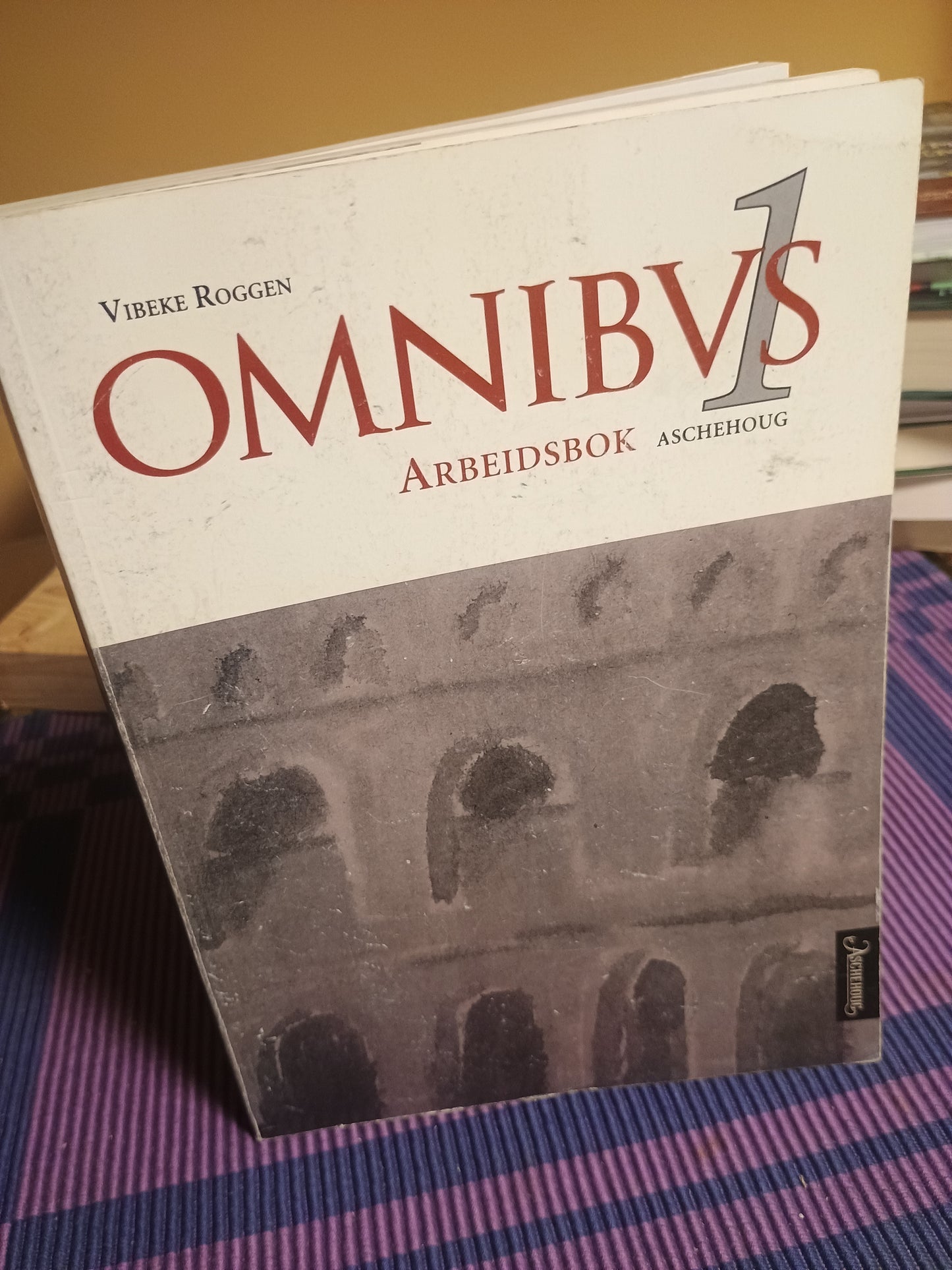 Omnibus 1: Arbeidsbok. Vibeke Roggen