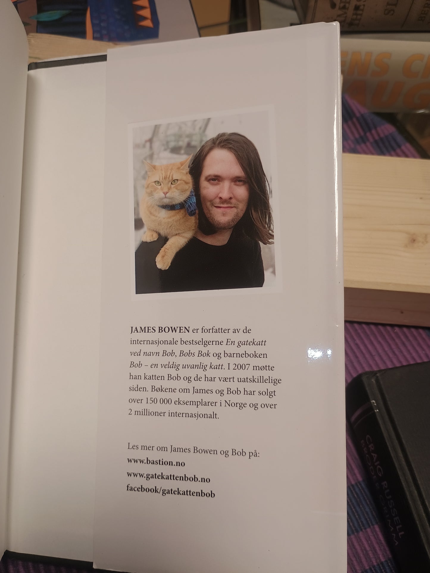 En gatekatt ved navn Bob, James Bowen