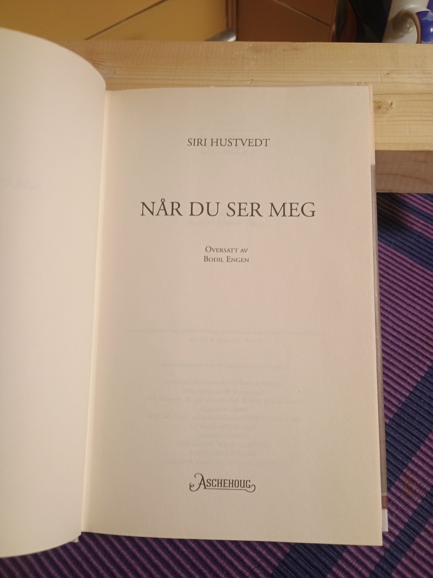 Når du ser meg, Siri Hustvedt