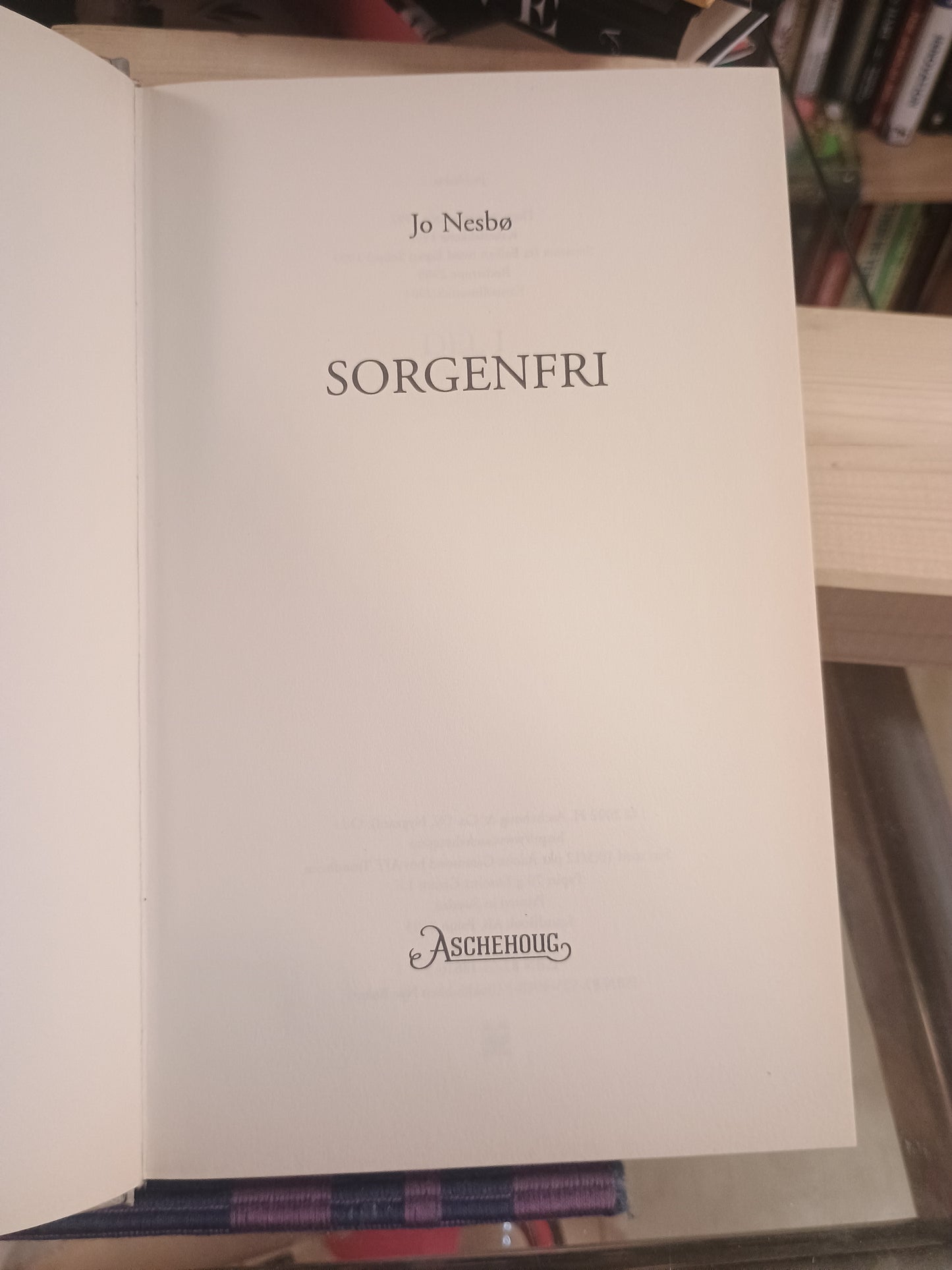 Sorgenfri, Jo Nesbø