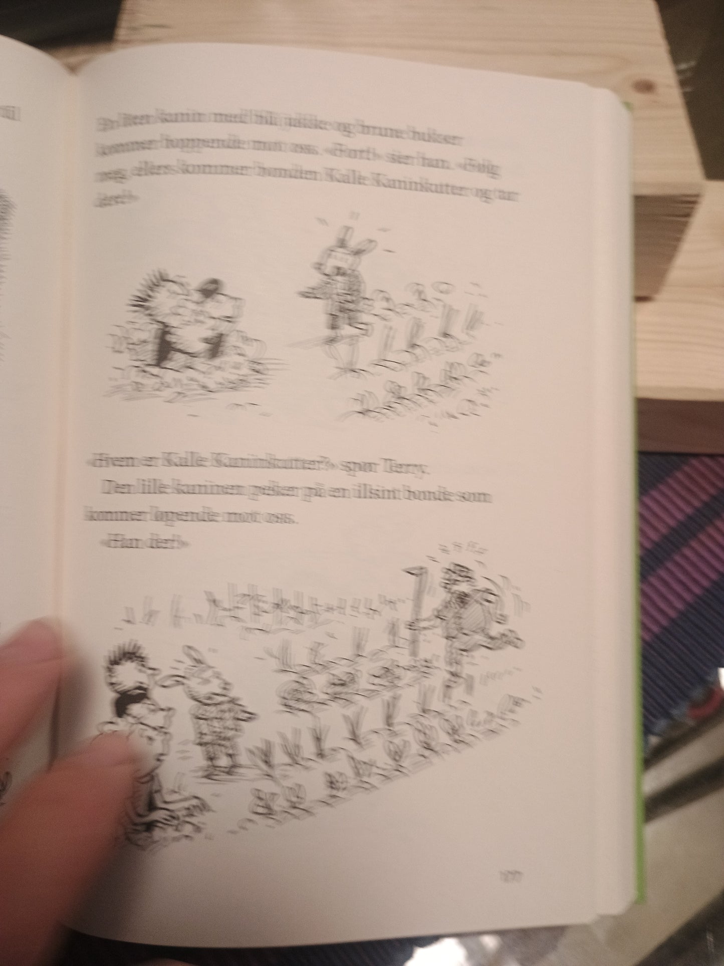Gutta i trehuset med 117 etasjer, Andy Griffiths og Terry Denton