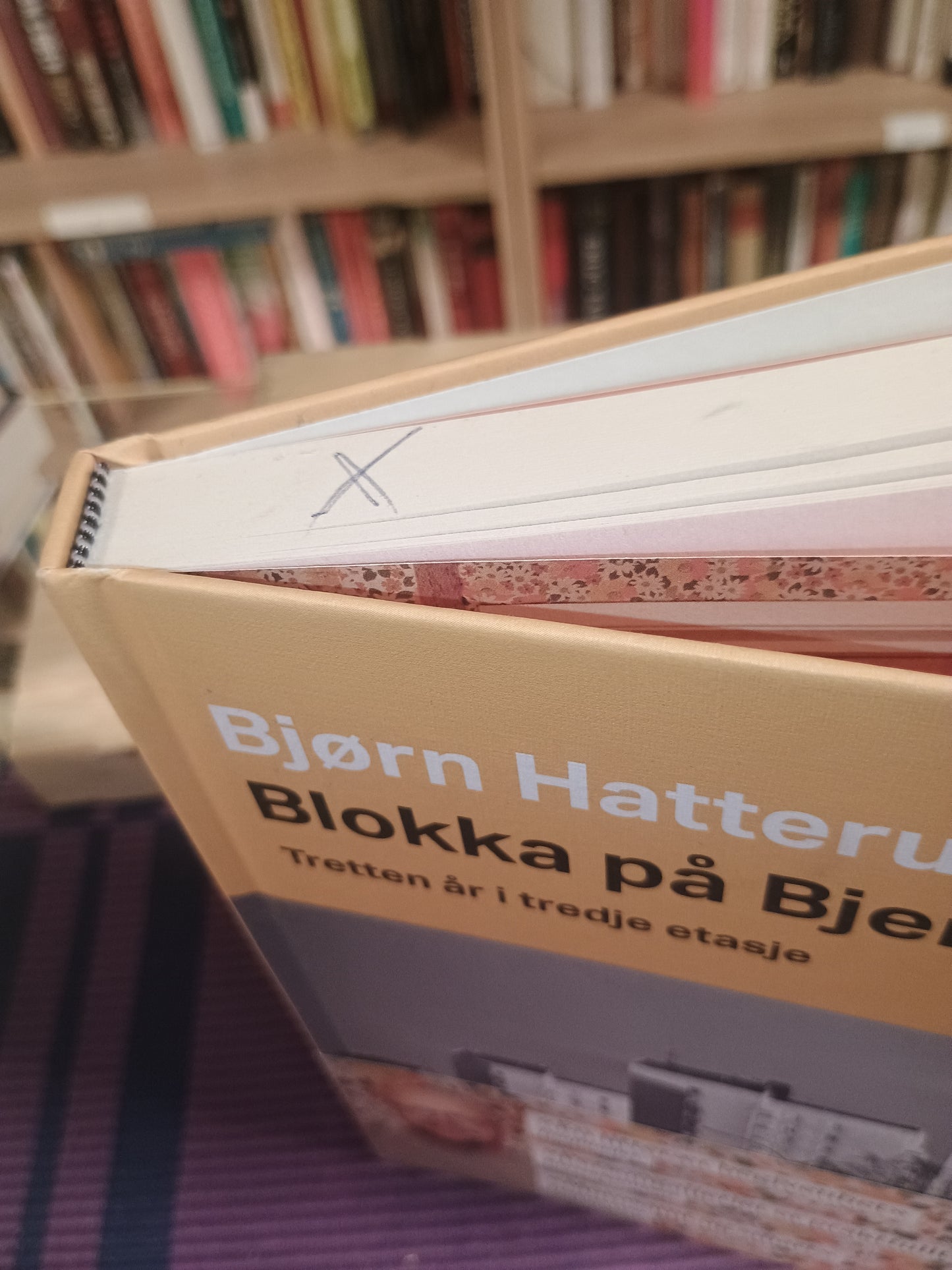 Blokka på Bjerke: Tretten år i tredje etasje, Bjørn Hatterud