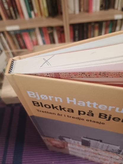 Blokka på Bjerke: Tretten år i tredje etasje, Bjørn Hatterud