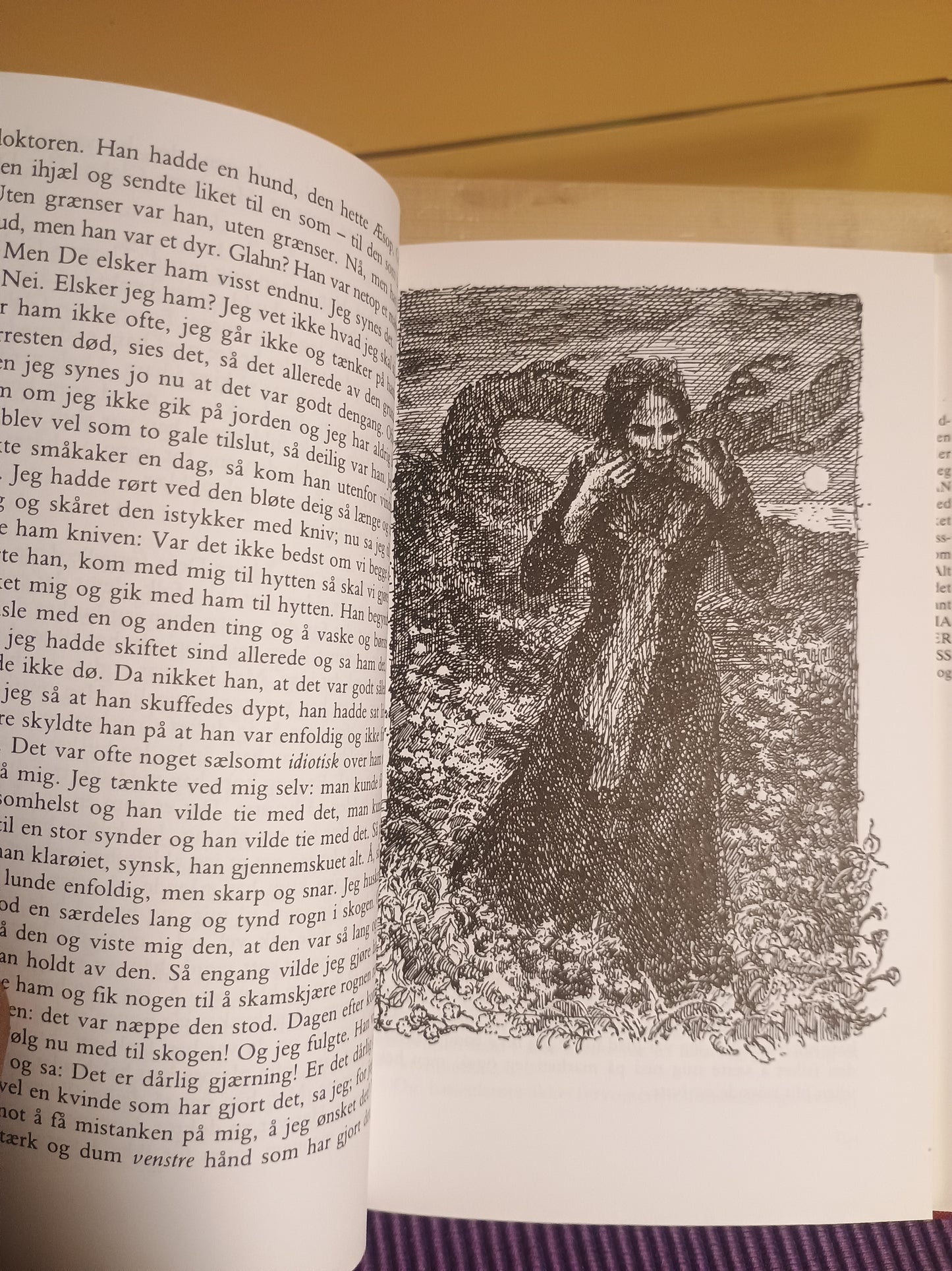 Rosa, Knut Hamsun