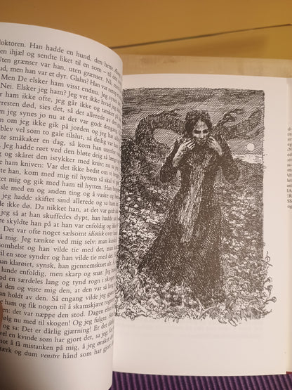Rosa, Knut Hamsun