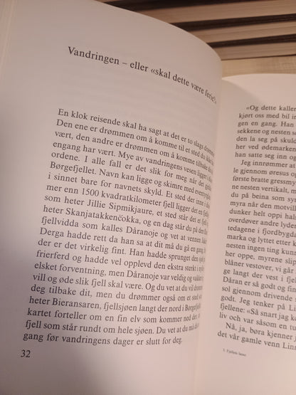 Fjellets lasso rundt mitt hjerte, Guttorm Hansen
