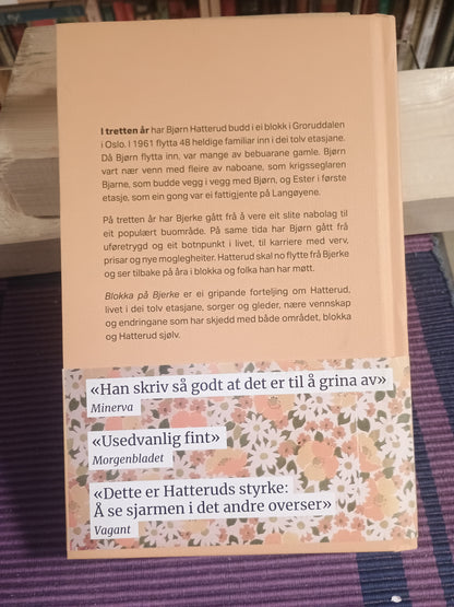 Blokka på Bjerke: Tretten år i tredje etasje, Bjørn Hatterud