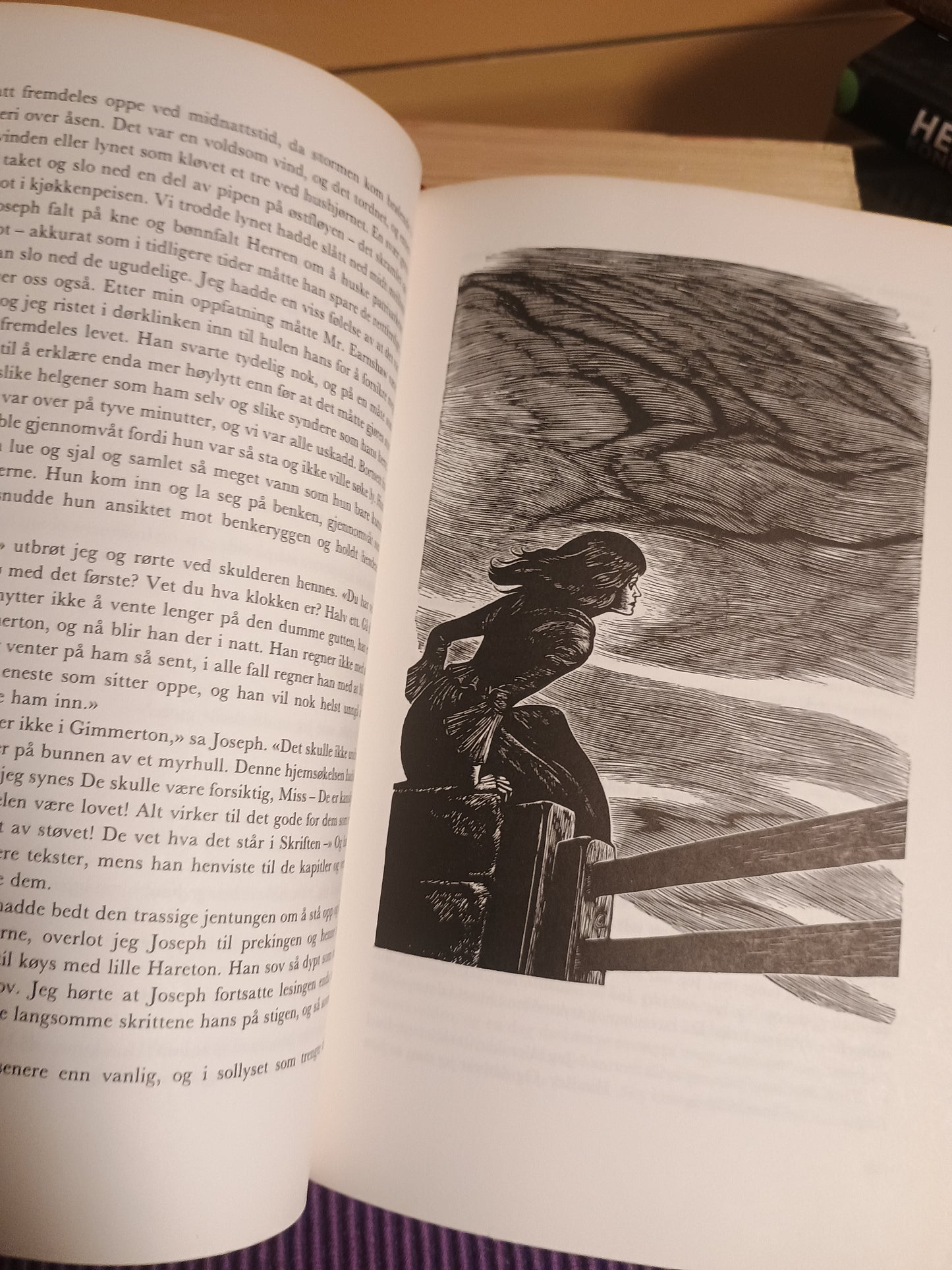 Stormfulle høyder. Emily Brontë