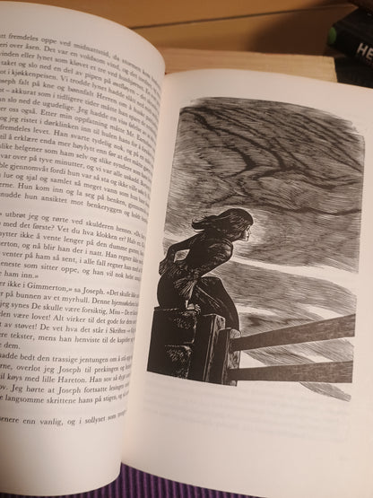 Stormfulle høyder. Emily Brontë