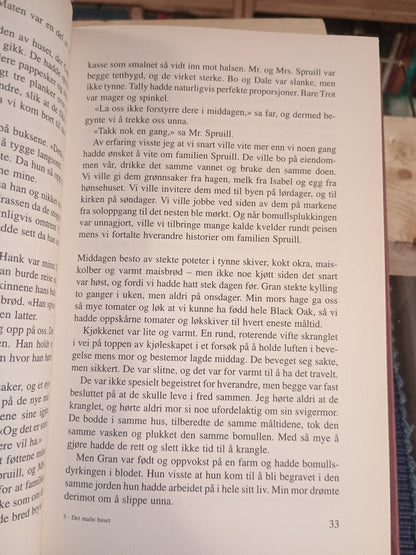 Det malte huset, John Grisham
