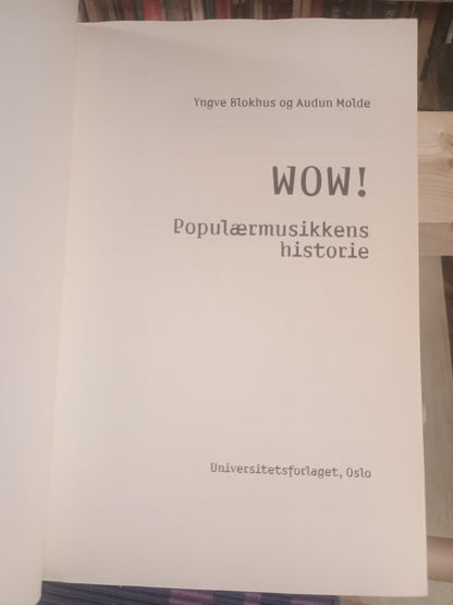 WOW! Populærmusikkens historie, Yngve Blokhus og Audun Molde