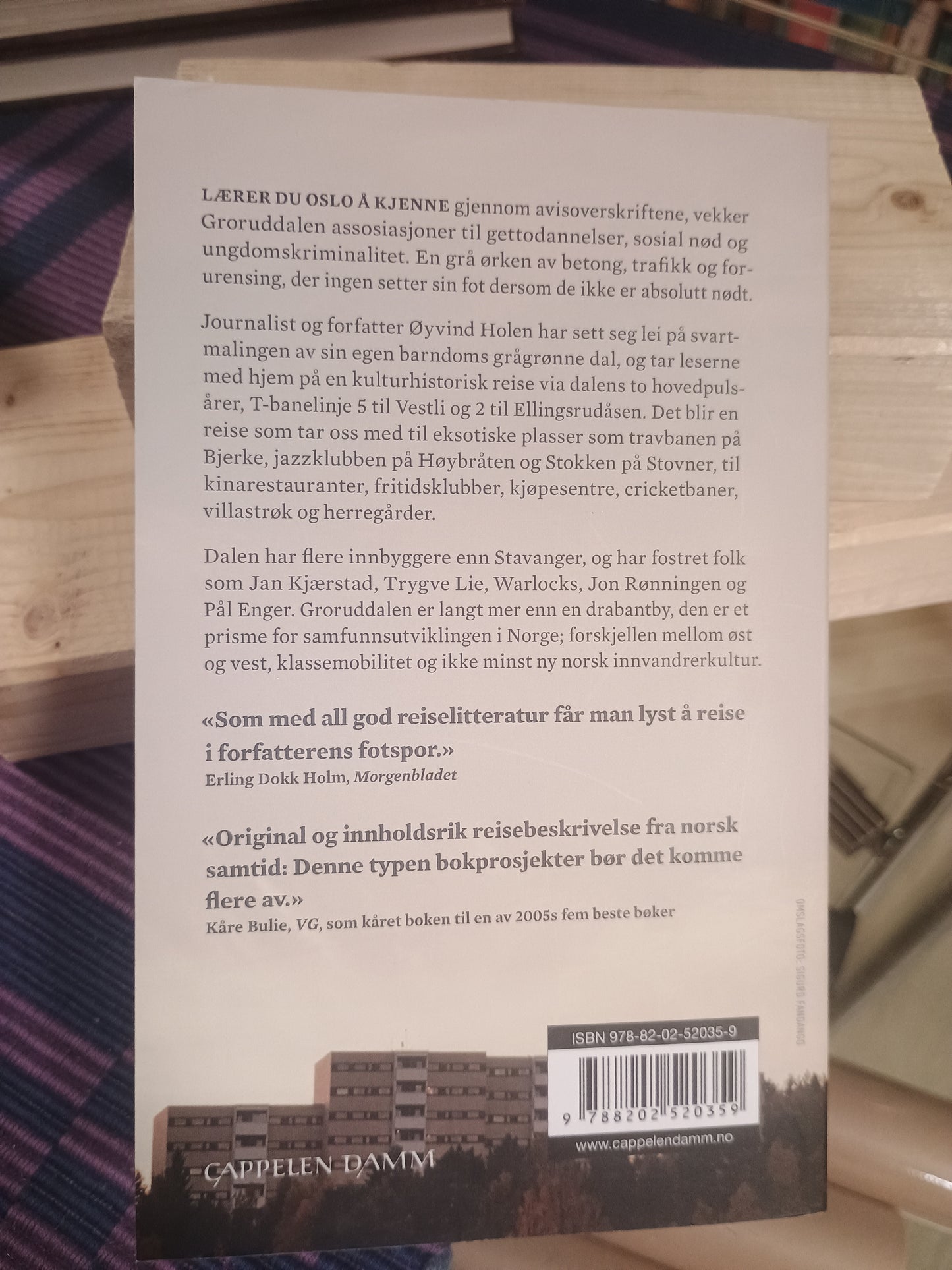 Groruddalen: En reiseskildring, Øyvind Holen