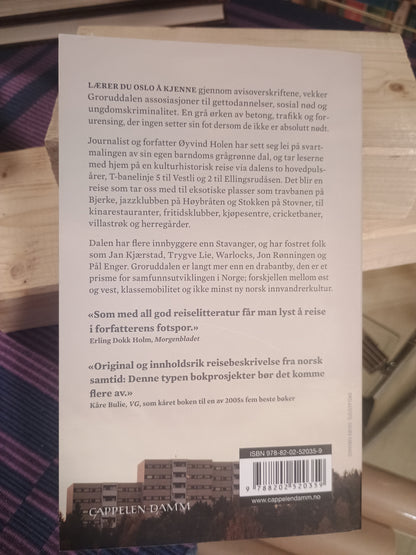 Groruddalen: En reiseskildring, Øyvind Holen