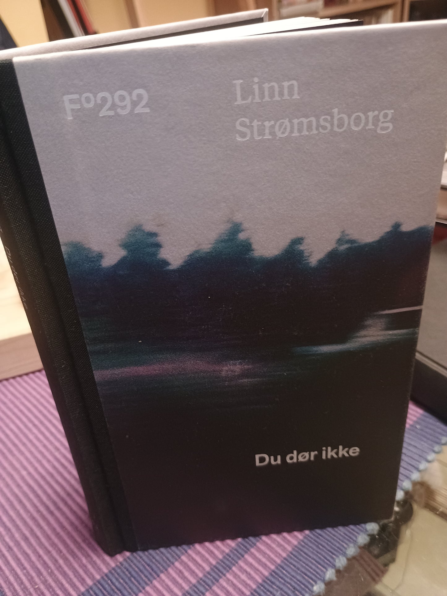 Du dør ikke, Linn Strømsborg