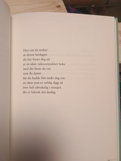 Hjemmekamp: Dikt, Trygve Skaug
