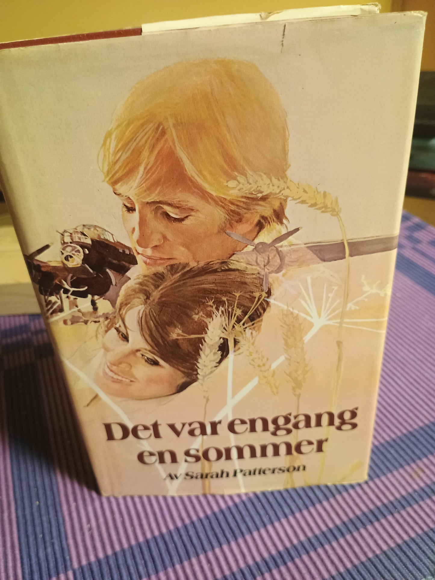 Det var en gang en sommer. Sarah Patterson