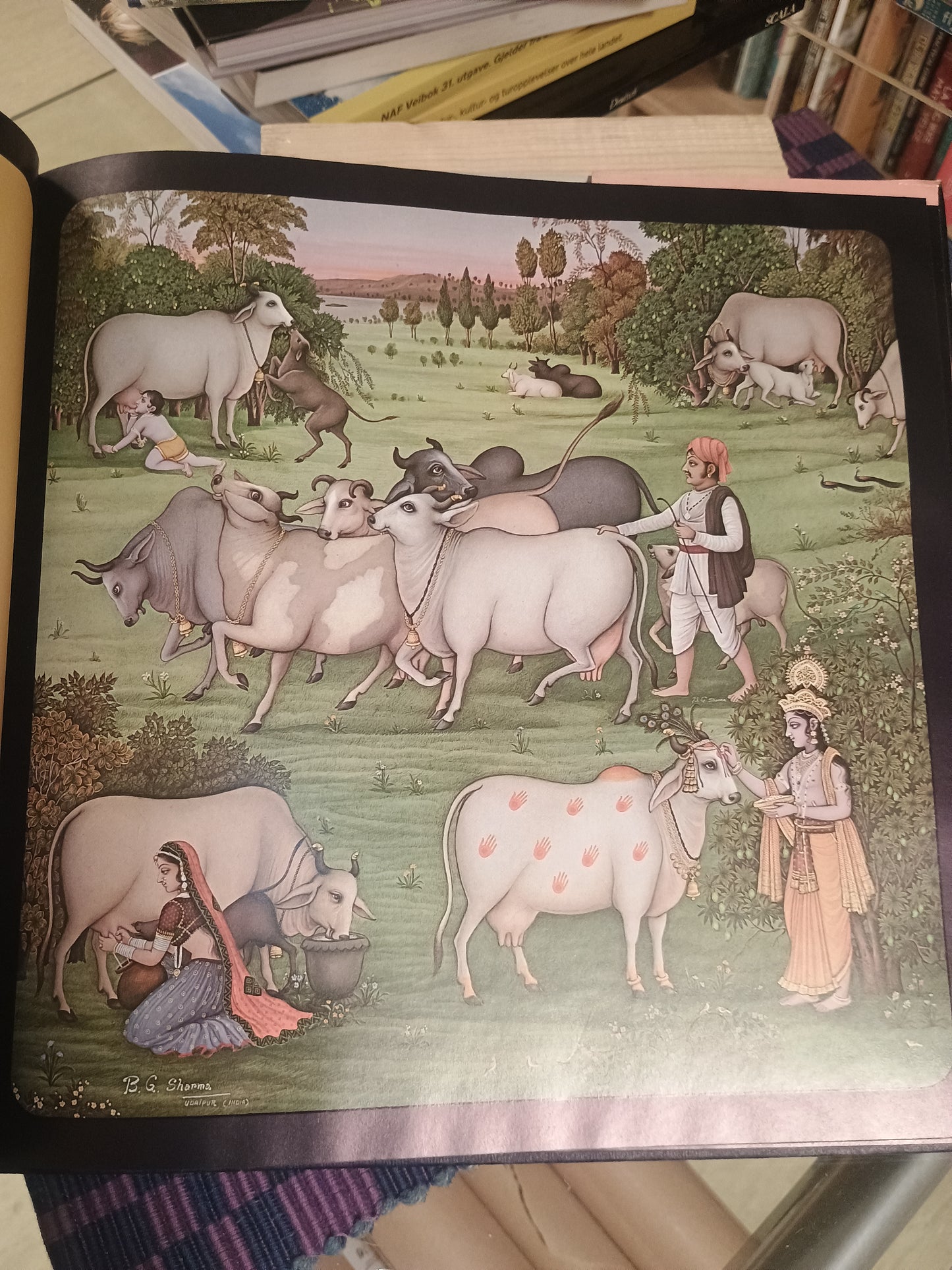 The Cow Book, Marc Gallant