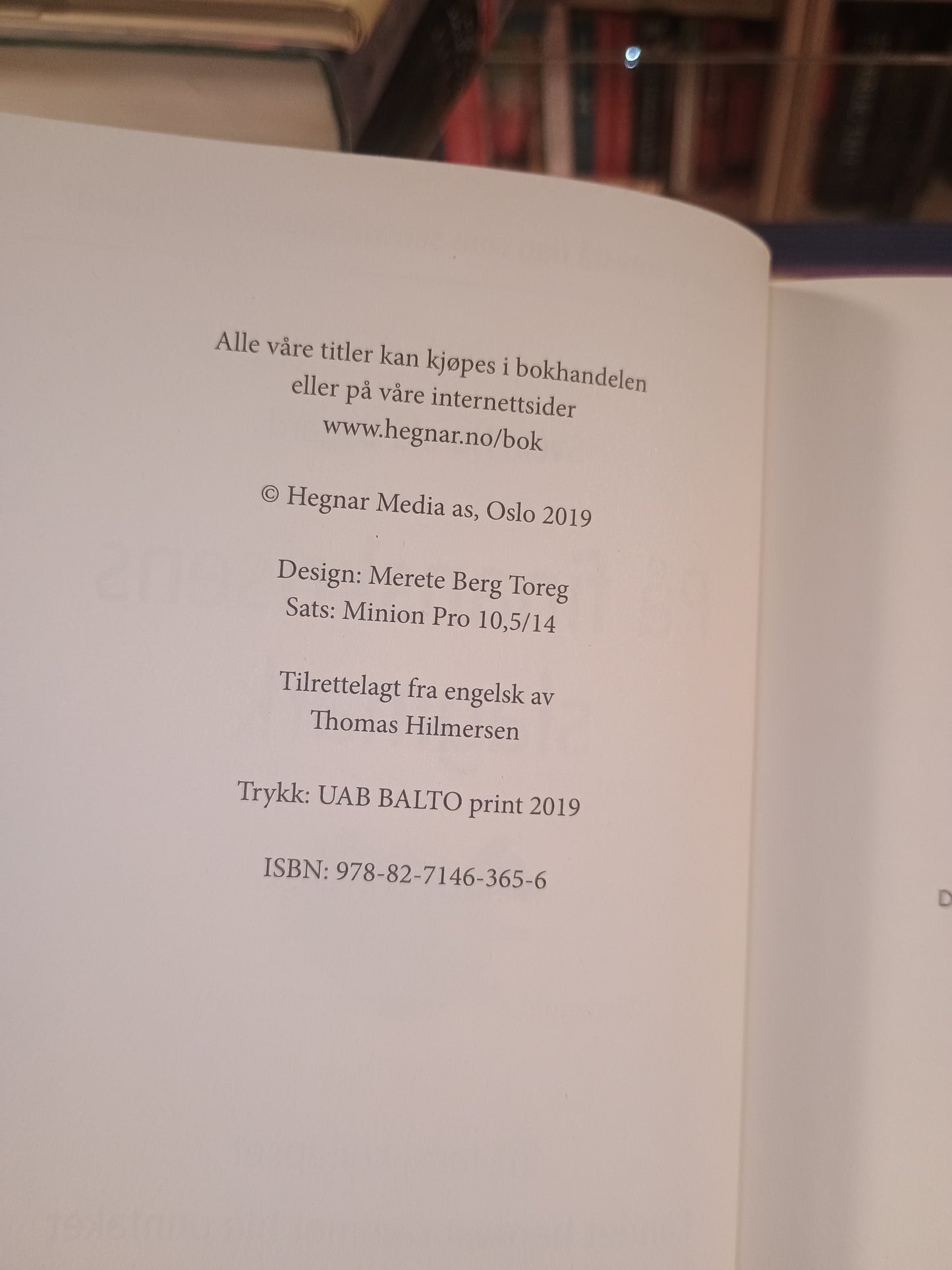 På finanskrisens slagmark, Svein Harald Øygard