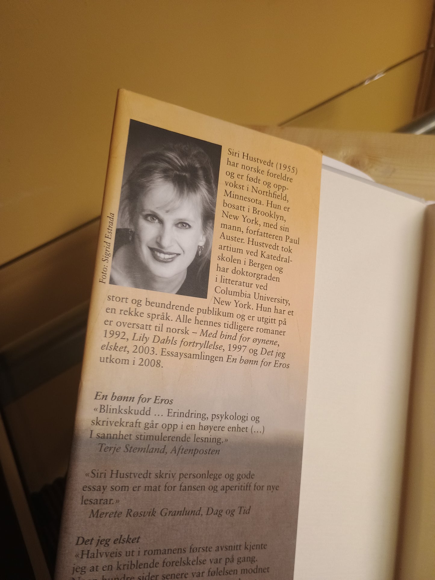 Når du ser meg, Siri Hustvedt