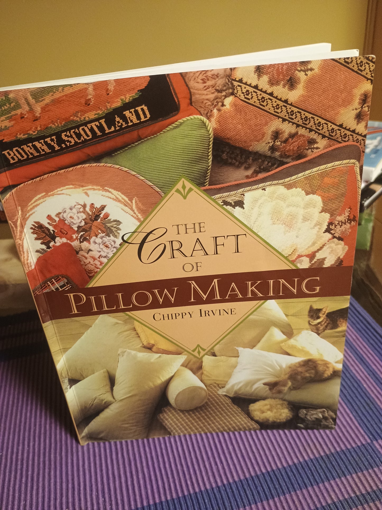 The craft of pillow making, Chippy Irvine