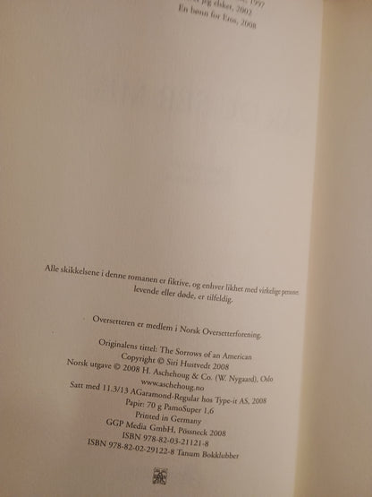 Når du ser meg, Siri Hustvedt