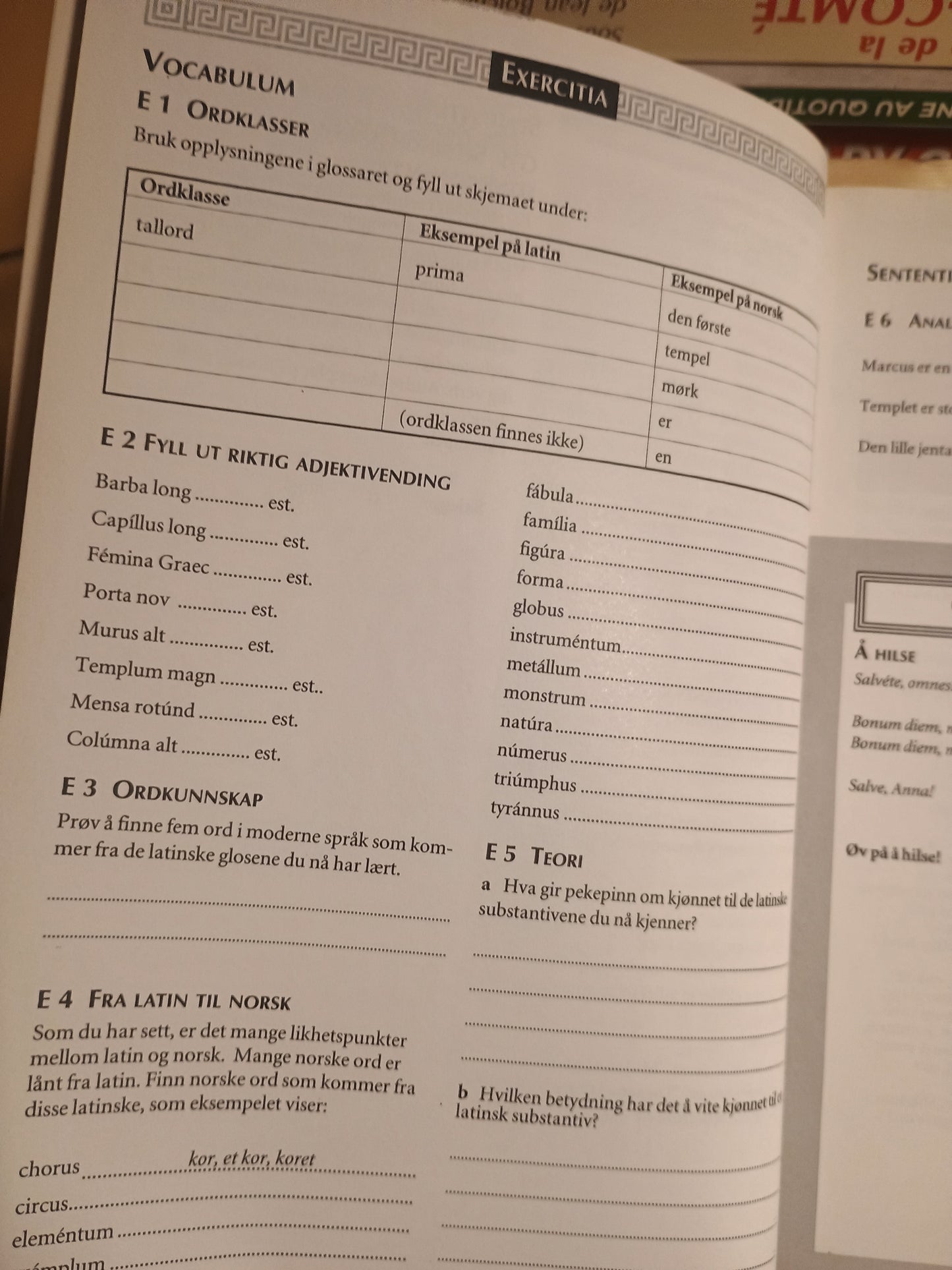 Omnibus 1: Arbeidsbok. Vibeke Roggen