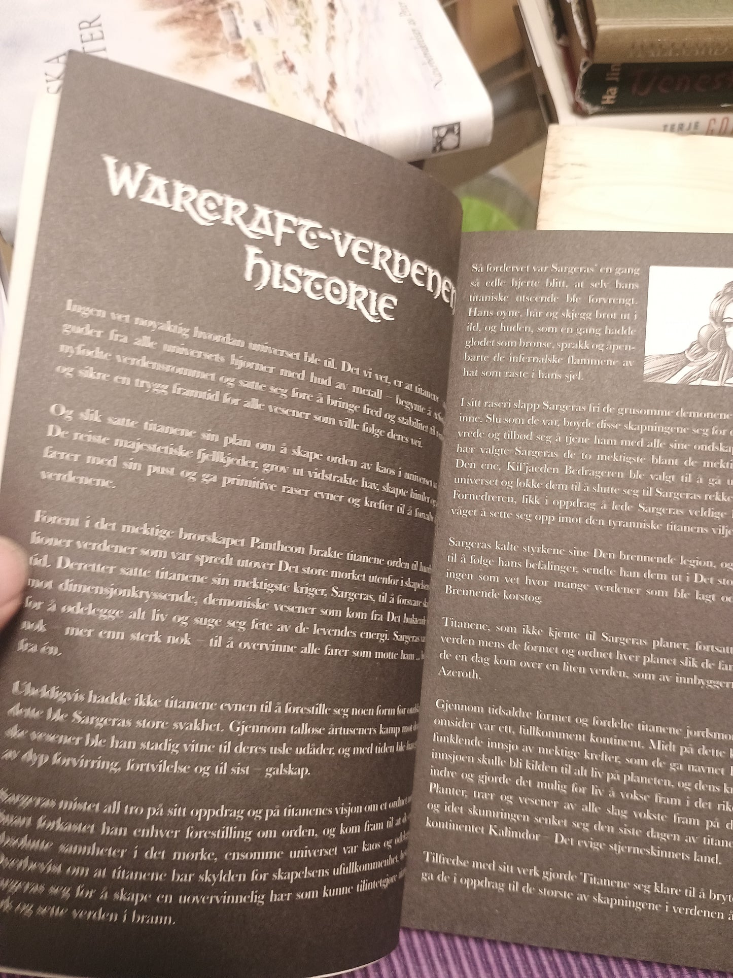 Warcraft: Solkildetrilogien, bok 1, Richard Knaak