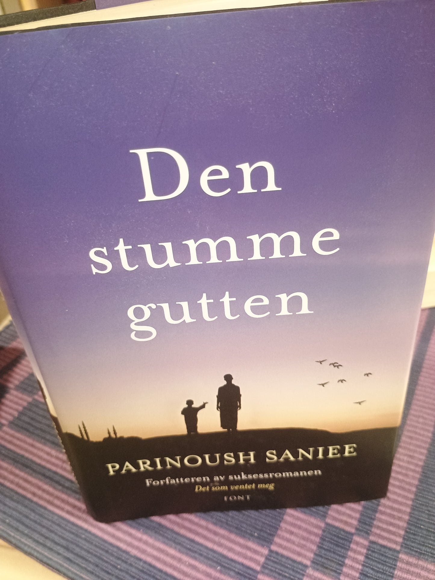 Den stumme gutten, Parinoush Saniee