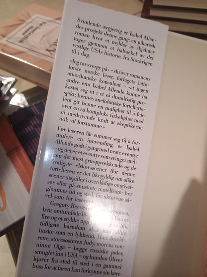 De endeløse planen, Isabel Allende