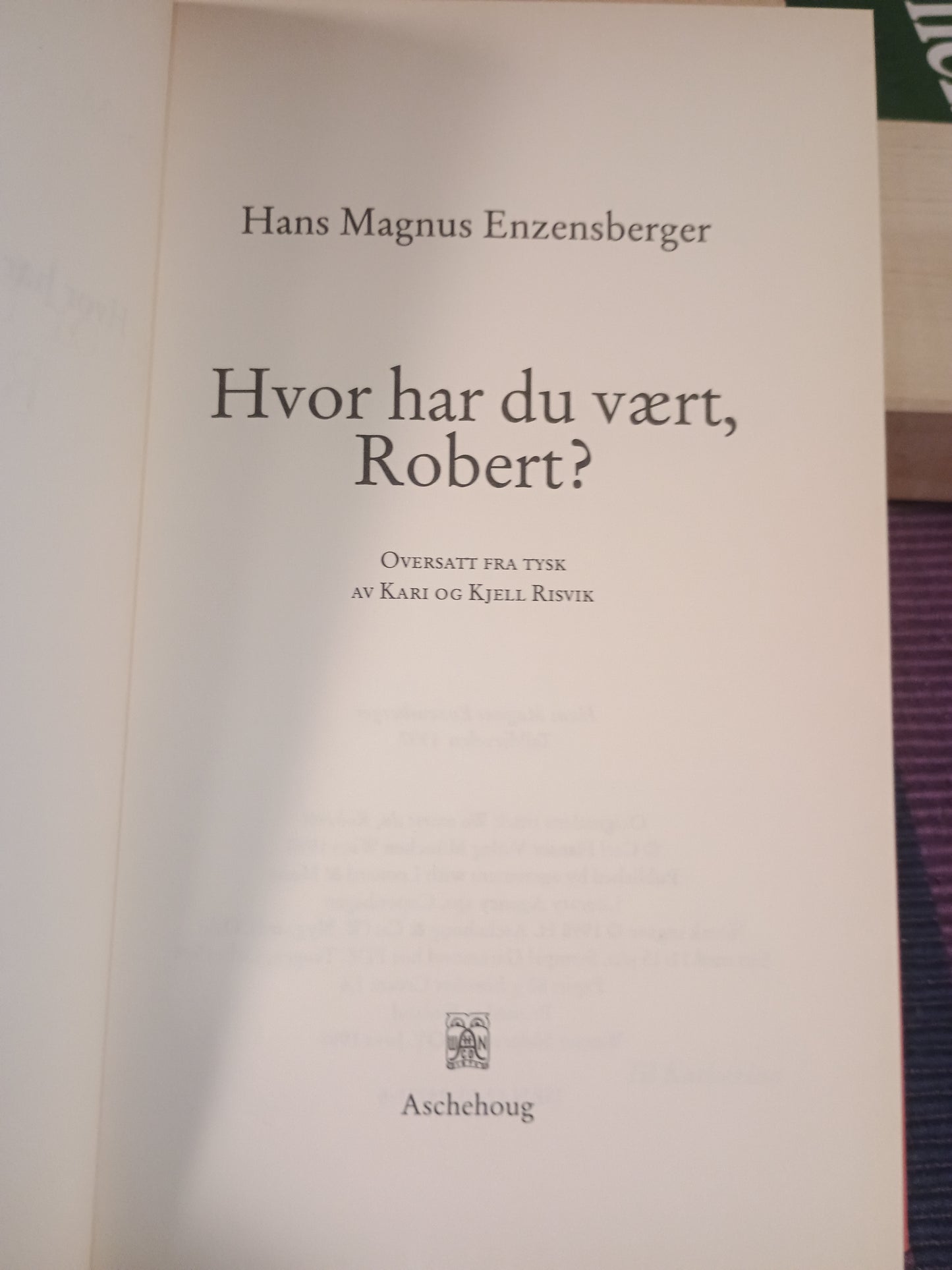 Hvor har du vært, Robert?, Hans Magnus Enzensberger