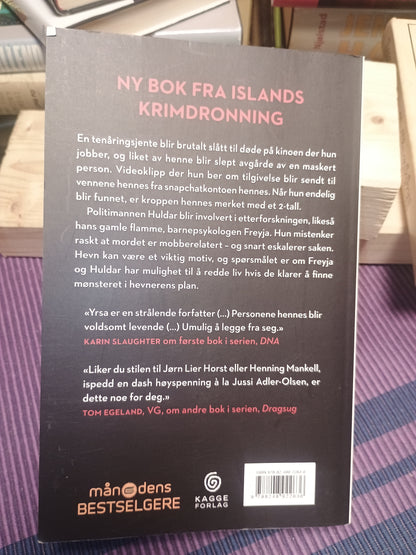 Syndsforlatelse, Yrsa Sigurdardóttir
