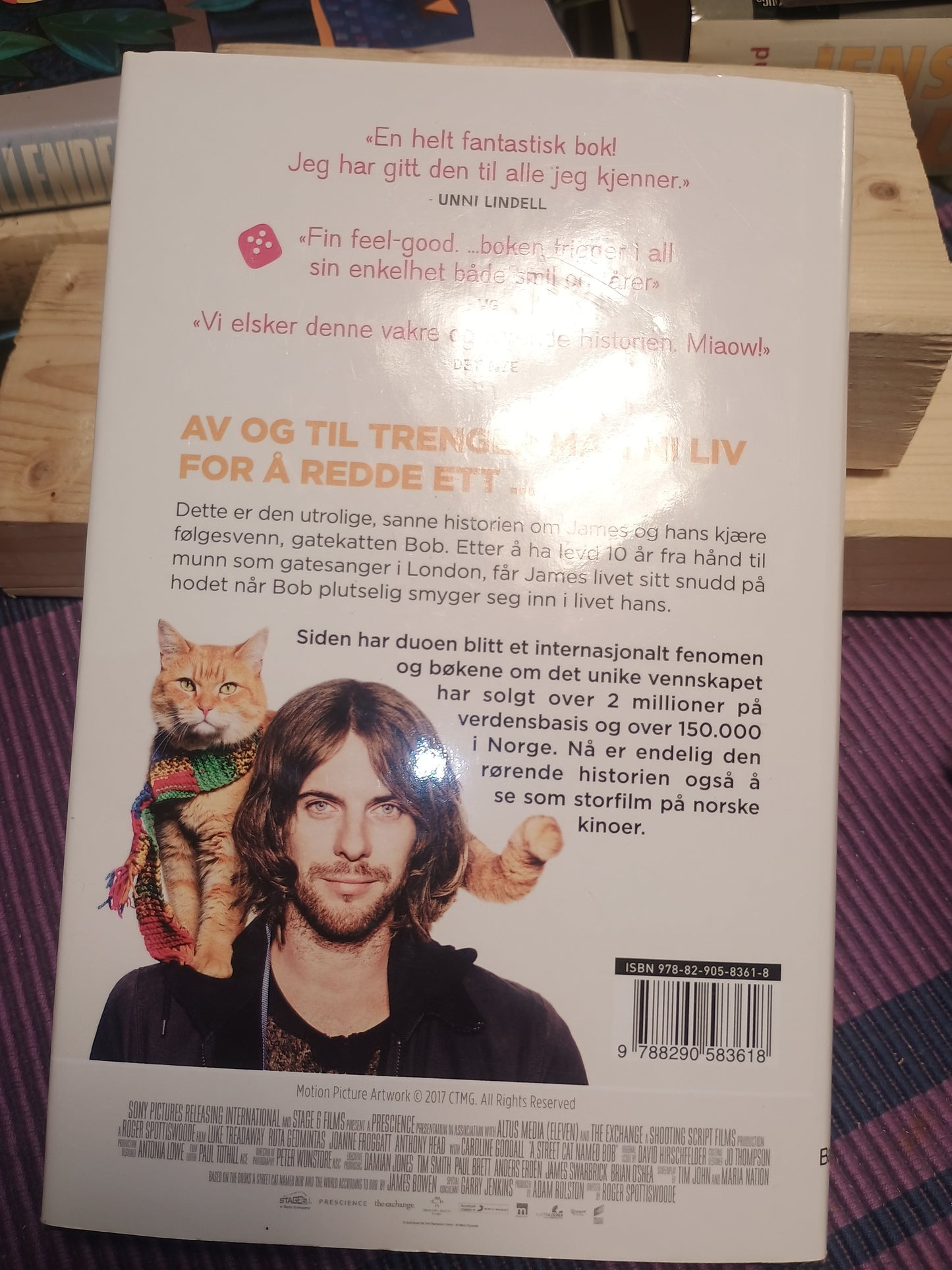 En gatekatt ved navn Bob, James Bowen