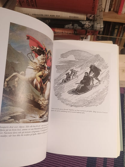 Napoleon, Herman Lindqvist