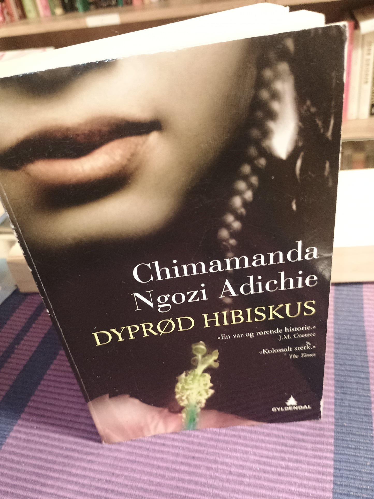 Dyprød hibiskus, Chimamanda Ngozi Adichie