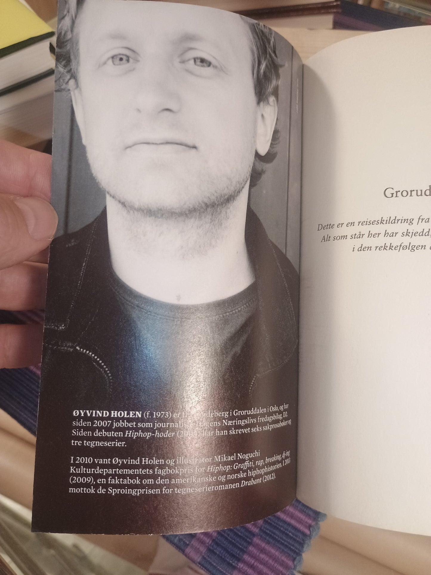 Groruddalen: En reiseskildring, Øyvind Holen