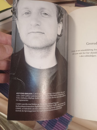 Groruddalen: En reiseskildring, Øyvind Holen
