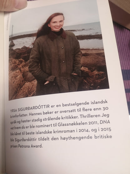 Syndsforlatelse, Yrsa Sigurdardóttir