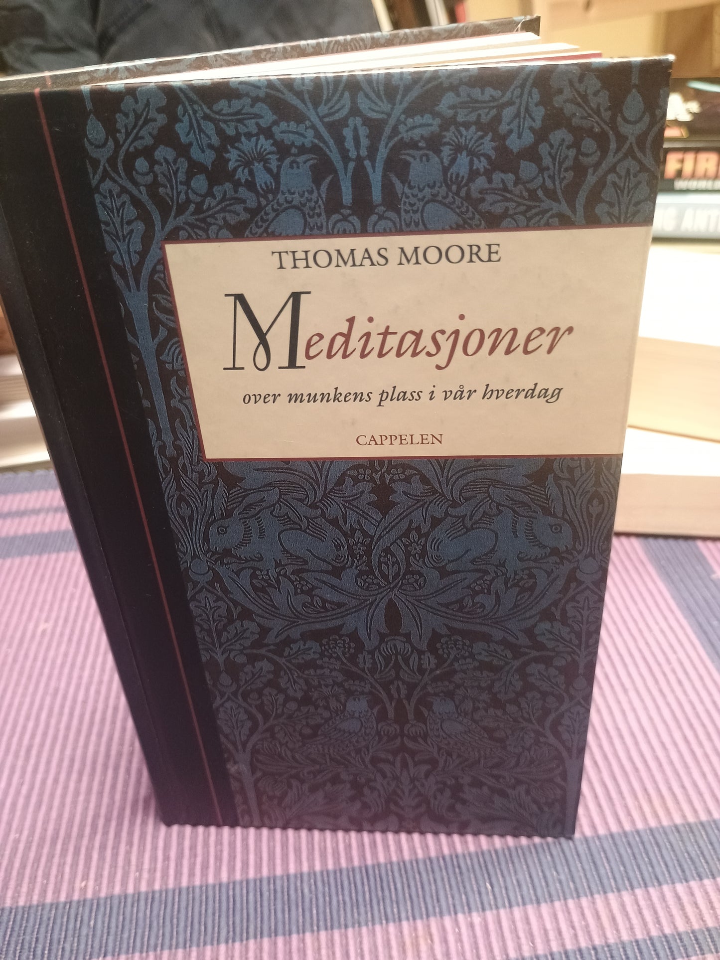 Meditasjoner over munkens plass i vår hverdag, Thomas Moore