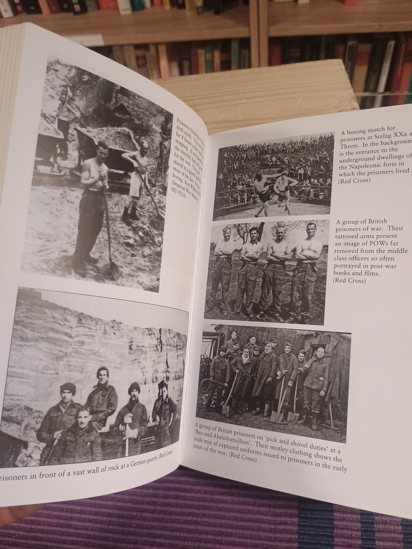 Hitler's British Slaves, Sean Longden
