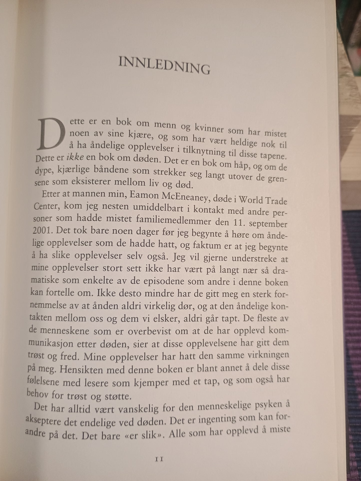 Budskap: Tegn, besøk og forvarsler fra dem som omkom 11. september 2011, Bonnie McEneaney