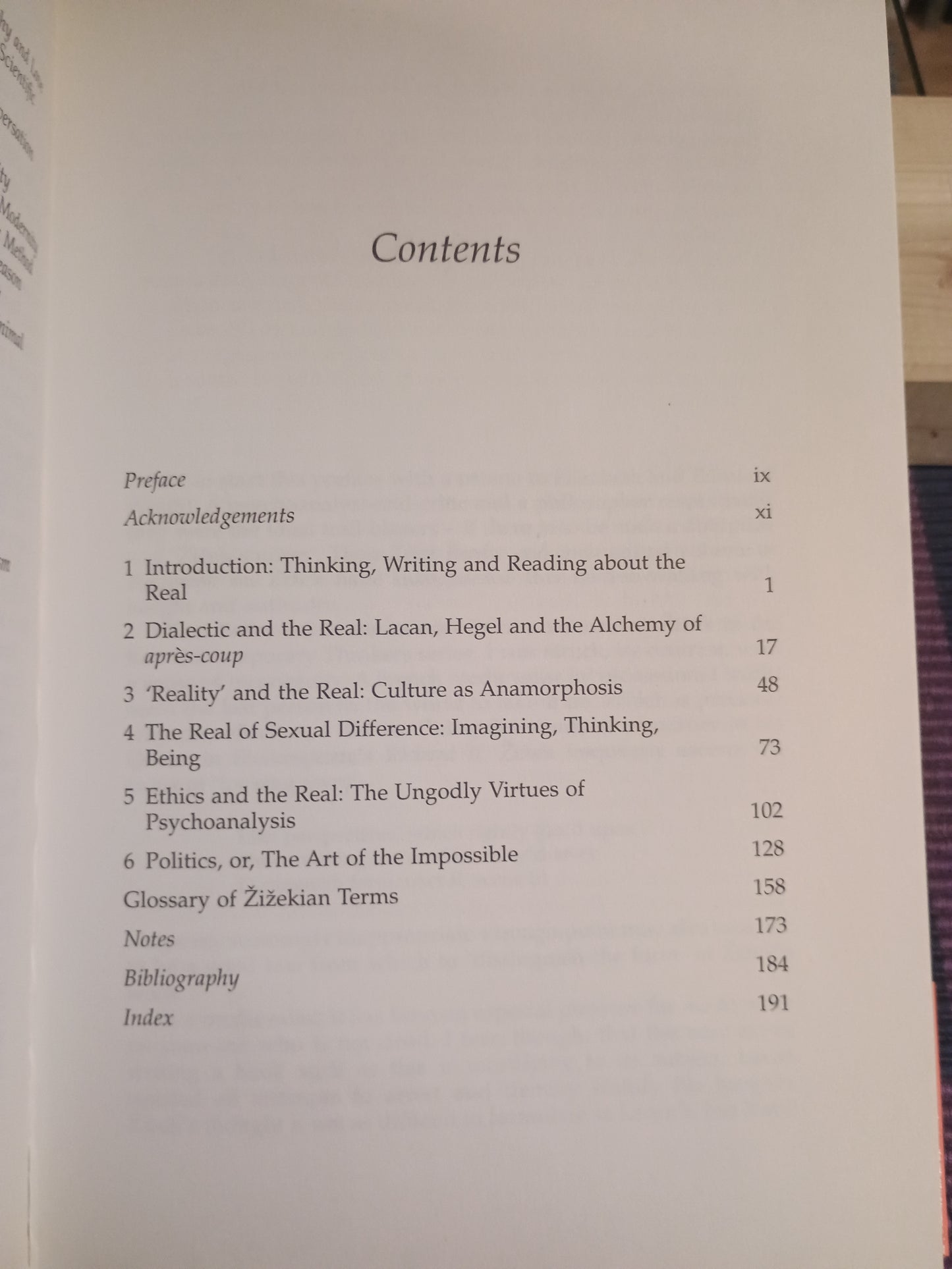 Zizek: A Critical Introduction, Sarah Kay
