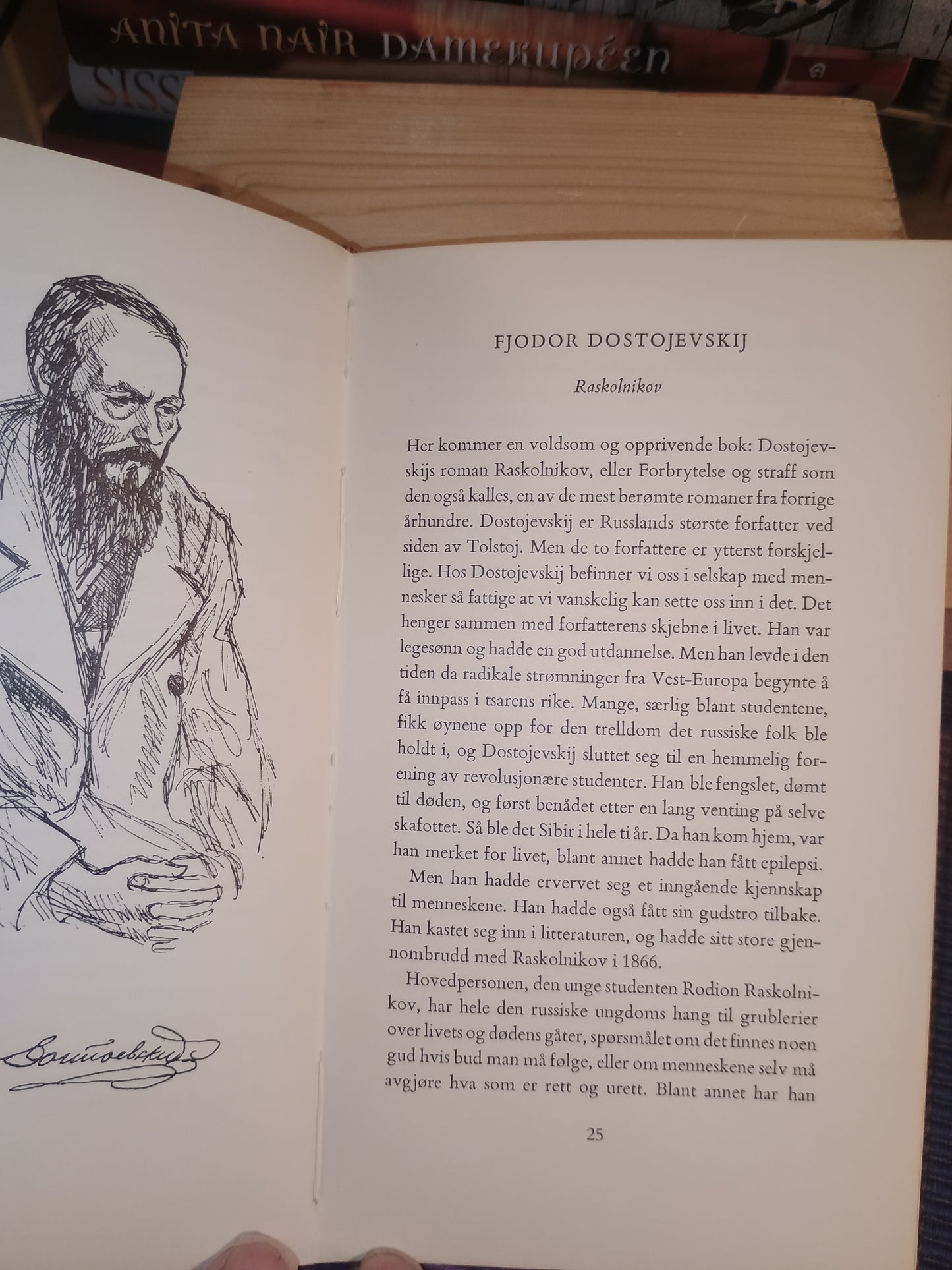 Evige venner: klassisk litteratur i et nøtteskall, Eugenia Kielland