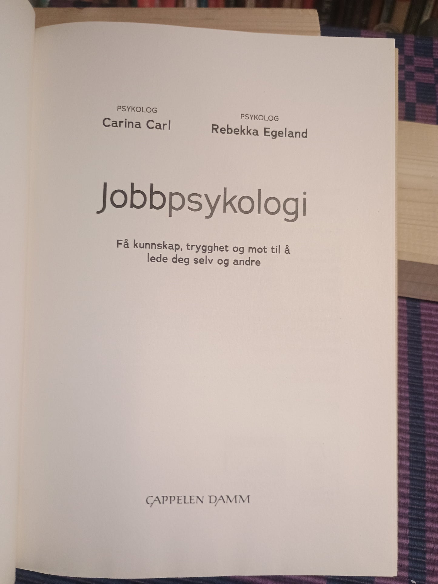Jobbpsykologi, Carina Carl og Rebekka Egeland