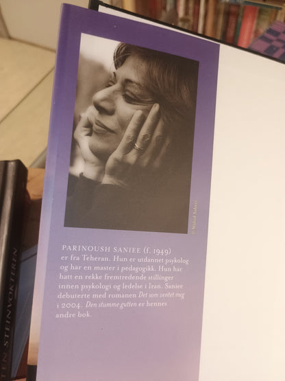 Den stumme gutten, Parinoush Saniee
