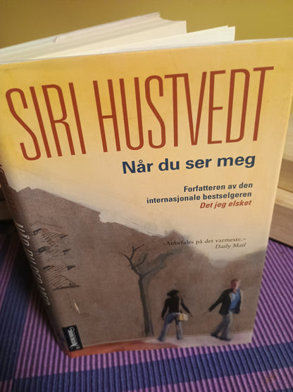 Når du ser meg, Siri Hustvedt