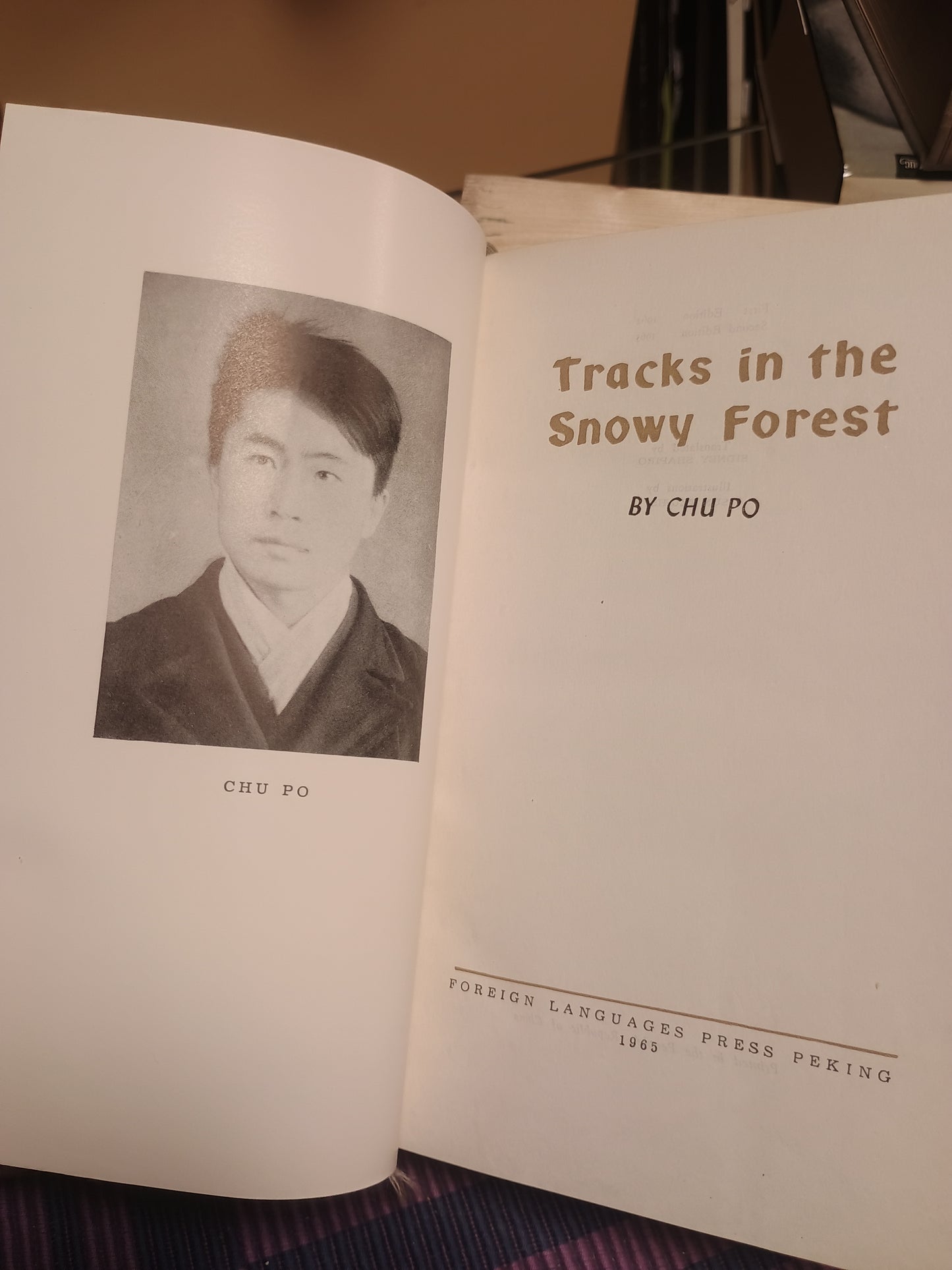 Tracks in the Snowy Forest, Chu Po