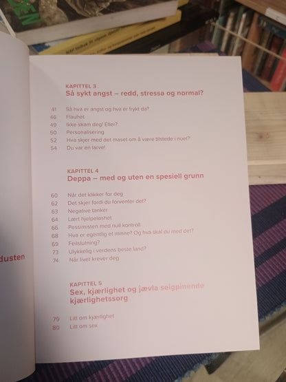 Psykt det: Hva er det egentlig som foregår på innsida?, Maria Abrahamsen Østhassel