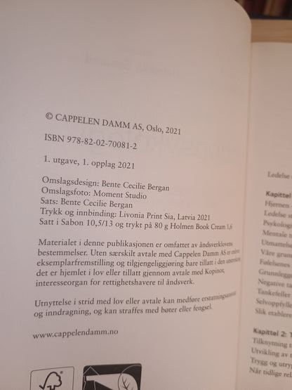 Jobbpsykologi, Carina Carl og Rebekka Egeland