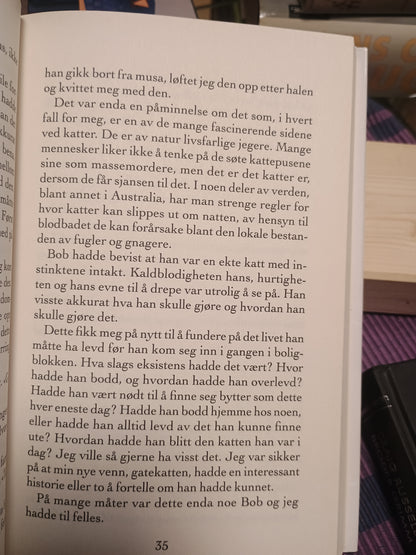 En gatekatt ved navn Bob, James Bowen