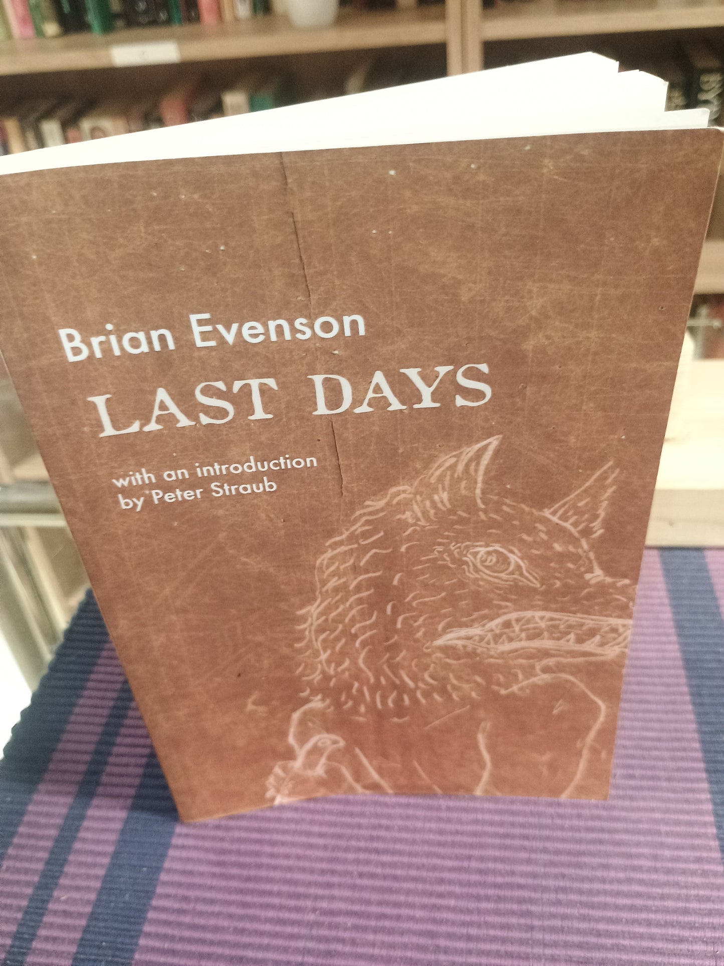 Last Days, Brian Evenson